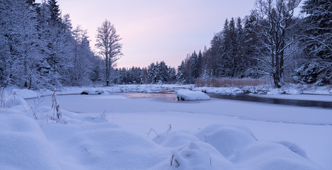 Wall Mural - River landscape, in winter and tree branches covered by frosty trees in sunrise