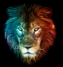 Digital Fantasy Fractal Design Art Of A Lion
