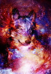 Poster - magical space wolf, multicolor computer graphic collage