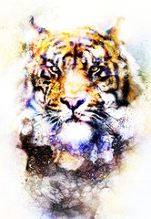 Leinwandbilder - magical space tiger, multicolor computer graphic collage. Glass effect.