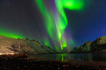 the polar lights in norway . ersfjord. tromso