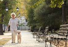 Senior Woman Walking With Dog In Park