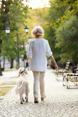 Wall Mural - Senior woman walking with dog in park