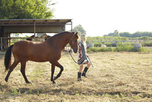 Woman Walking With Horse In A Farm