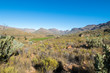 © danedwards - Cederberg Region of South Africa