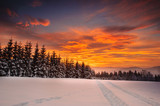 Fototapeta  - Winter sunset in the Polish beskid mountains.This photo was shouted in 2016 year on stecówka mountain.