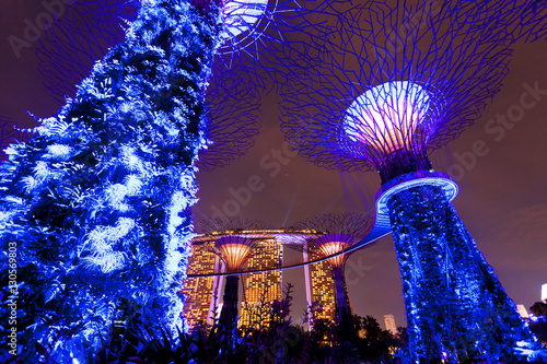 Obraz na plátne Light show at the Gardens by the Bay in Singapore