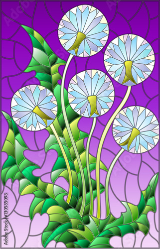 ilustracja-w-witrazu-stylu-kwiacie-blowball-na-purpurowym-tle