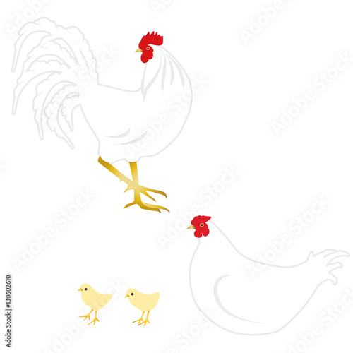 白い雄鶏と雌鶏 ひよこのイラストセット Stock Illustration Adobe Stock