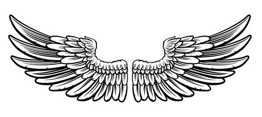 Wall Mural - Pair of Etched Wings