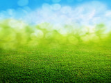 Fototapeta Perspektywa 3d - green grass background