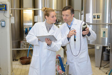 People Next To Vats Holding Tablet And Probe
