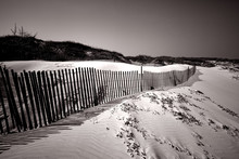 Sand Dune Fence