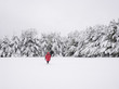 © Noah Kalina - Person in red coat walking through snow in winter