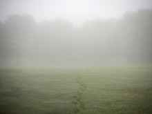 Footprints Across Grass On Foggy Day