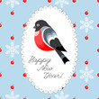 Bullfinch with red berries and snowflakes with seamless pattern