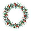 Christmas wreath of fir branches with frost, snow and red berrie