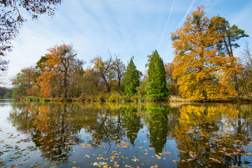 Canvas Print - autumn