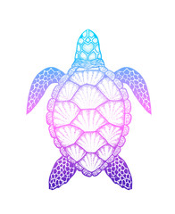 Wall Mural - Sea turtle in line art style. Hand drawn vector illustration iso