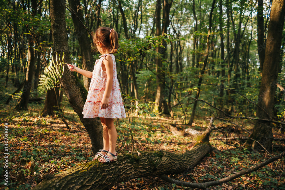 little girl standing in the forest with ferns Stock Photo | Adobe Stock
