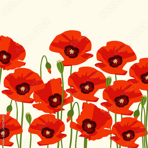 The poppy flowers. Vector illustration - Buy this stock vector and ...