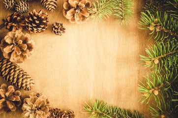 Christmas Background. Cones and Branch in a frame.