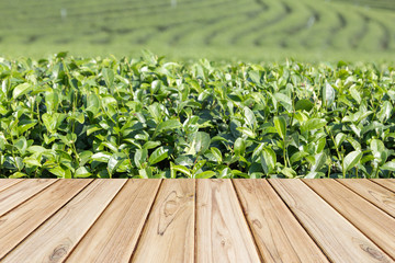 empty wooden floor on tea field background