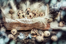 Easter Quail Eggs In Basket With Hyacinths Flowers On Dark Wooden Background