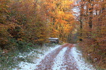 Two colors meet each other seasons