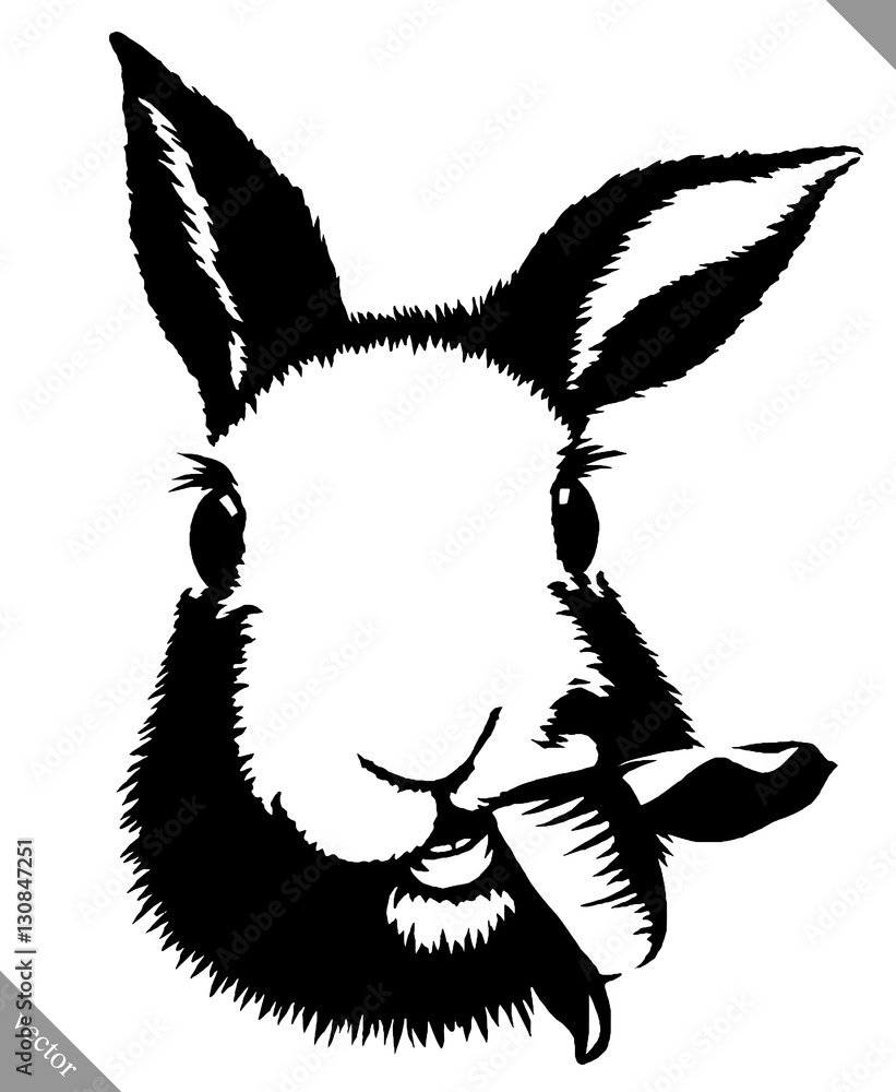 black and white linear paint draw rabbit vector illustration Stock ...