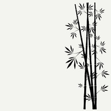 Bamboo Stems With Leaves On White Background
