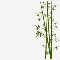  bambusowe łodygi z liśćmi na białym tle