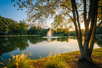  Fountain and pond at Roosevelt Wilson Park at sunset, in Davidso