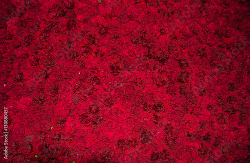 fondo de flores rojas