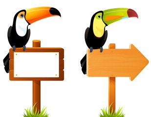 colorful toucan birds sitting on a blank wooden sign 