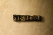 © Chris Titze Imaging - STATUTE - close-up of grungy vintage typeset word on metal backdrop. Royalty free stock - 3D rendered stock image.  Can be used for online banner ads and direct mail.