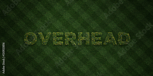 Fotografie, Obraz OVERHEAD - fresh Grass letters with flowers and dandelions - 3D rendered royalty free stock image