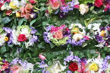 Flower Garden Flowers Flor Flores Jardin Colorful