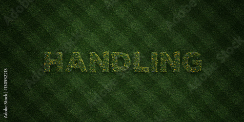 Fotografie, Obraz HANDLING - fresh Grass letters with flowers and dandelions - 3D rendered royalty free stock image