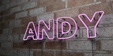 ANDY - Glowing Neon Sign on stonework wall - 3D rendered royalty free stock illustration.  Can be used for online banner ads and direct mailers..