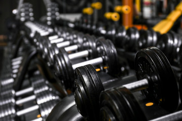 Wall Mural - Closeup of dumbbells in gym