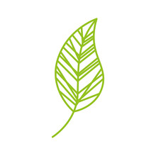 Leaf Drawing Isolated Icon Vector Illustration Design
