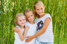 Portrait Of Three Young Cousins On Willow