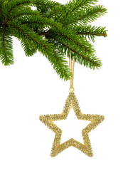 Golden Christmas star on green tree branch isolated on white bac