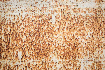 Wall Mural - Old rusty steel wall.