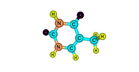 Poster - Thymine molecular structure isolated on white