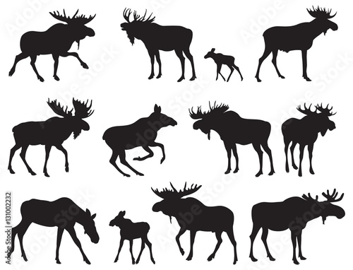 Set of Moose Silhouettes. Vector Images Stock Vector | Adobe Stock
