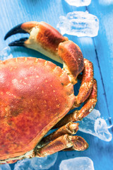 Wall Mural - close view on fresh crab