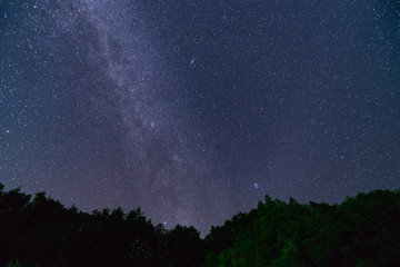 Wall Mural - Milky way of the north