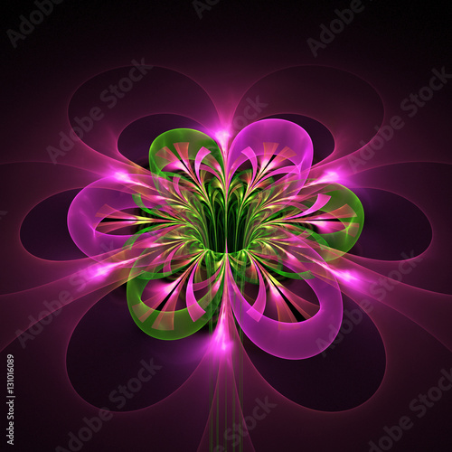 Abstract Glowing Colorful Flower On Black Background Fantasy Pink